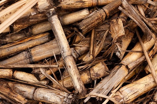 background-70997__340-biomass